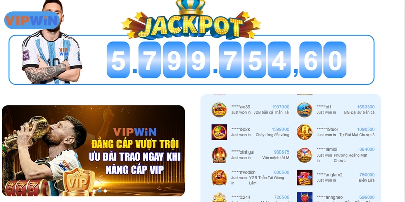 Quyền và nghĩa vụ của nhà cái VIPWIN