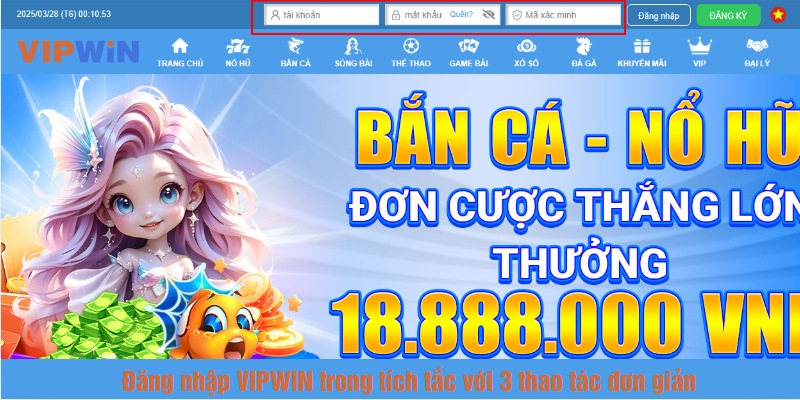Nhập thông tin tài khoản