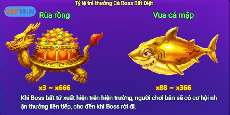 Mỗi loài cá sẽ có lượng điểm thưởng tương ứng